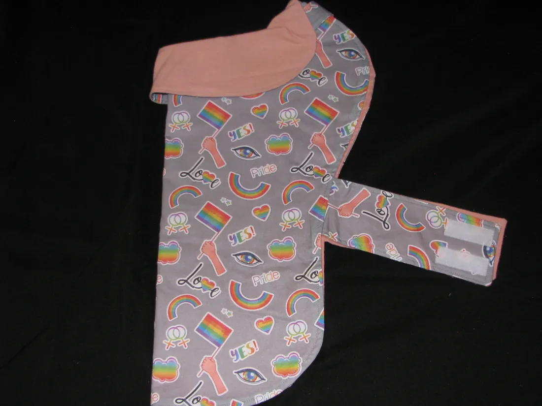 Artful Gay Pride — new coat view