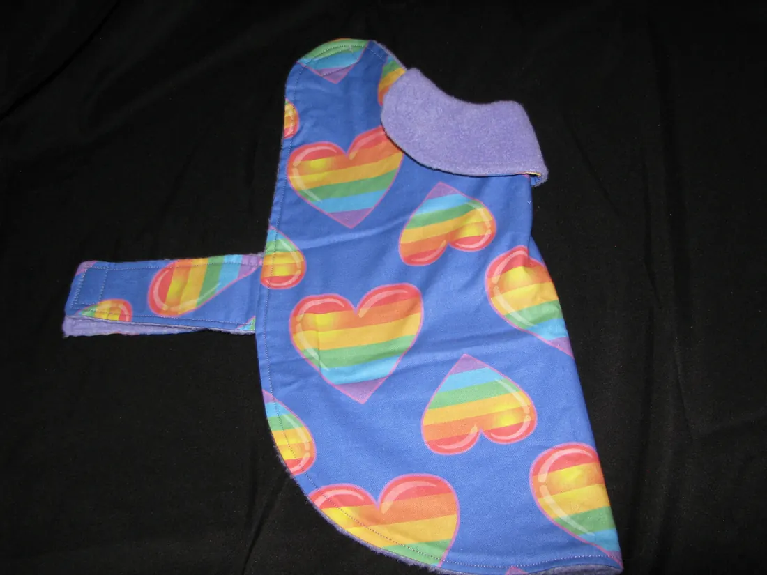 Pride Heart Stripe — new coat view