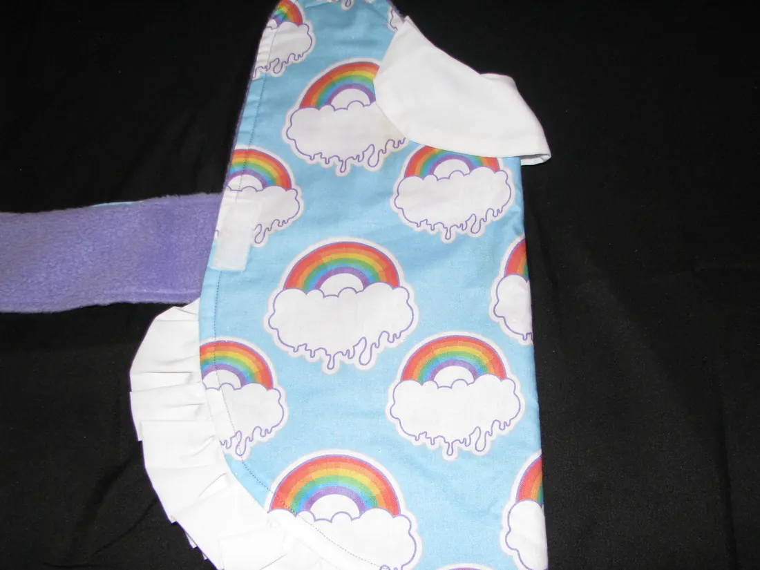 Gay Pride Rainbow — new coat view