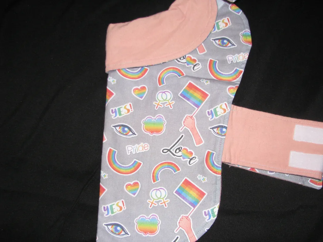 Artful Gay Pride — new coat view